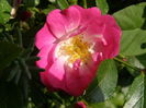 P6270032