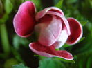 P6290035