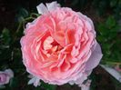 Abraham darby