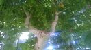 WP_20140930_15_31_05_SmartShoot
