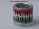 hung 2013