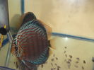 DSCF7894