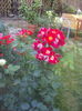 DSC00213