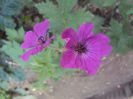 DSC00221