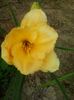 20150627_161055