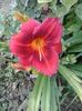 20150627_161226