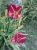 20150628_070953