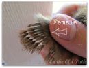 female-chick1