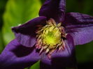 DSCN1641