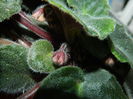 DSCN1650