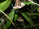 DSCN1654