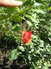 DSCF1060