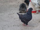 DSCN0658