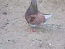 DSCN0660