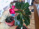 IMG_20150630_184510