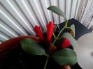 IMG_20150630_070851