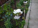 IMG_20150627_103115
