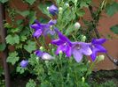 IMG_20150621_075919