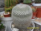 SAM_0306