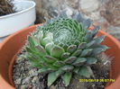 SAM_0308