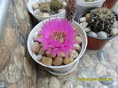 SAM_0364