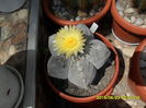 SAM_0366