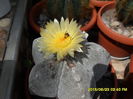 SAM_0367