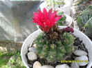 SAM_0369