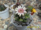 SAM_0388
