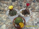 SAM_0389