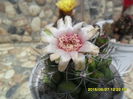 SAM_0391