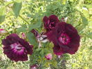 DSCN0975[1]