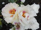 DSCN0992[1]