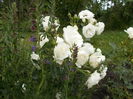 DSCN0995[1]
