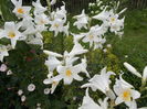 DSCN1021[2]