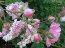 P6300015