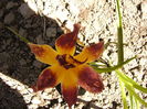 P1240850