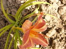 P1240869