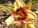P1240870