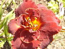 P1240873