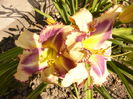 P1240874