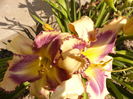 P1240876
