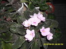 SAM_0345