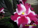 SAM_0361