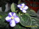 SAM_0381