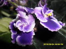 SAM_0384