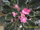 SAM_0377