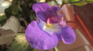 046