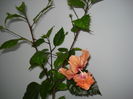 DSC02335