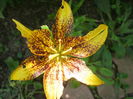 P3200658